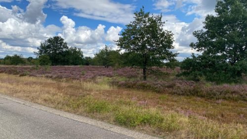 verrassingtocht (39)